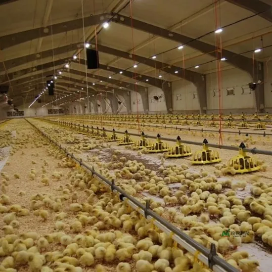 PP Feed Pan Feeders for Chicken Livestock Feeder